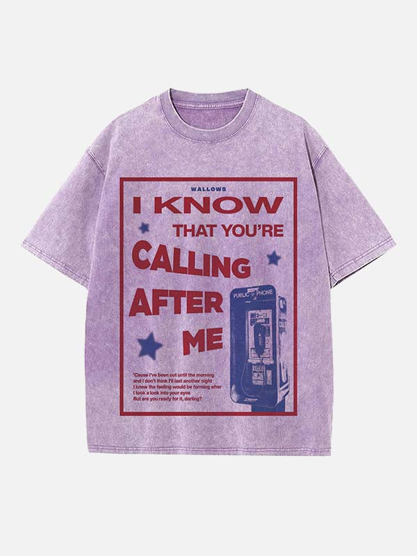 Wallows Print Round Neck T-shirt